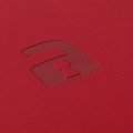 fire-red_8.png