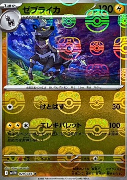 838494.jpg